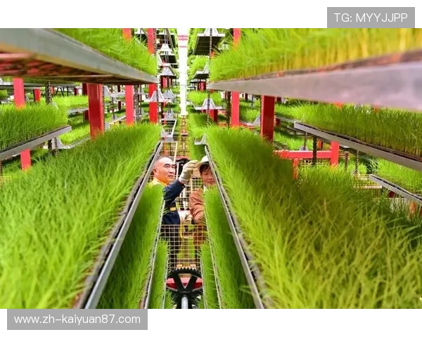 新濠国际：多元化产品线布局推动企业稳步发展的核心动力